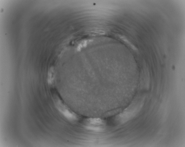 X0000081390528200701252107