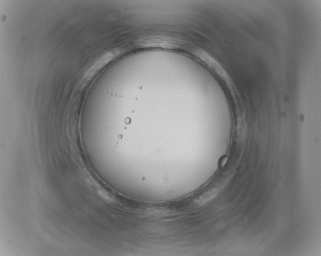 X0000081390529200701252106