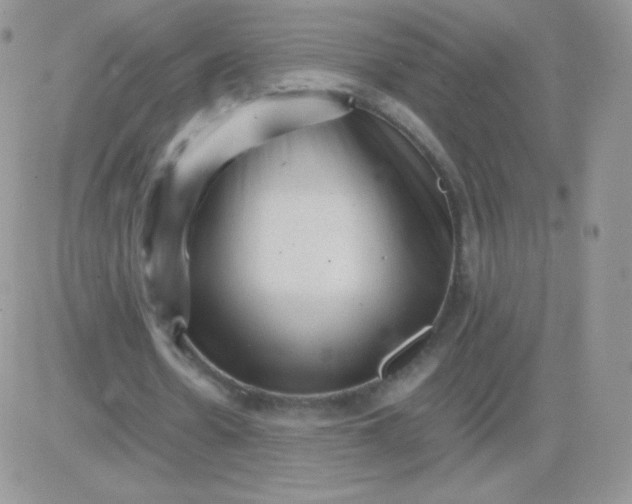 X0000081390530200701252106