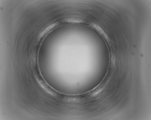 X0000081390533200701252106