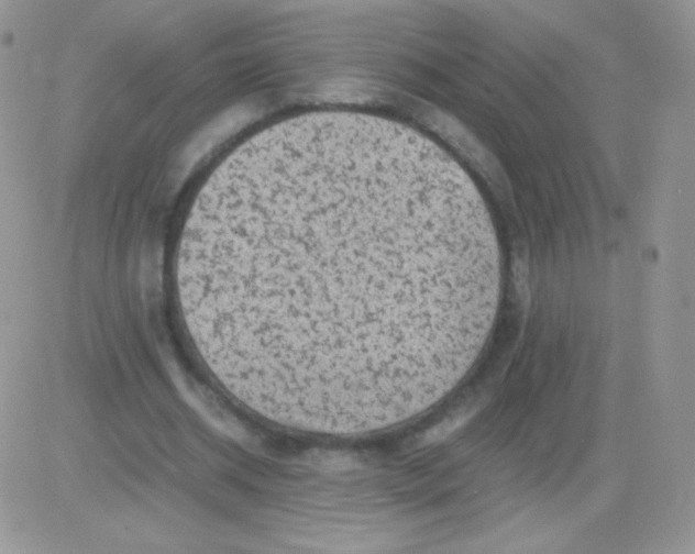 X0000081390534200701252107