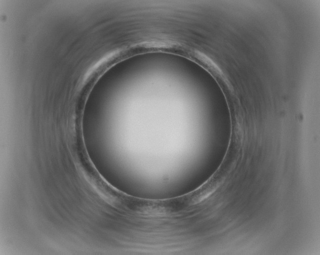 X0000081390535200701252107