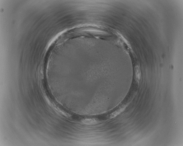 X0000081390536200701252107