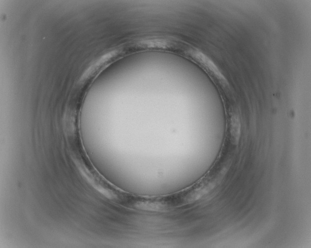 X0000081390537200701252107