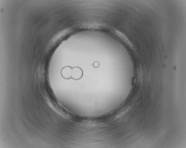 X0000081390538200701252107