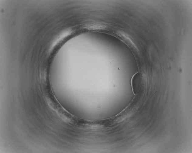 X0000081390539200701252107