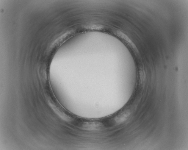 X0000081390541200701252107