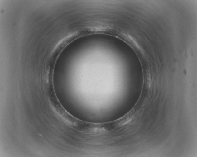 X0000081390543200701252107