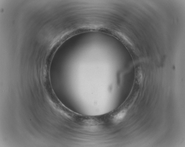 X0000081390544200701252107