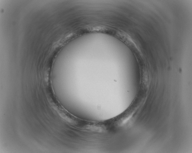 X0000081390545200701252107