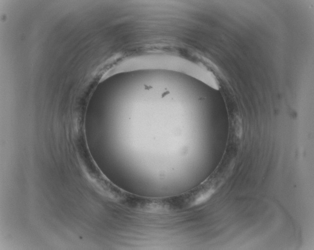 X0000081390546200701252107