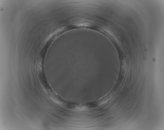 X0000081390547200701252107