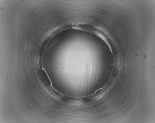 X0000081390548200701252107