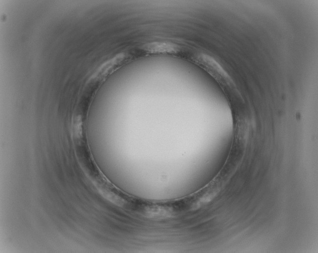 X0000081390549200701252107