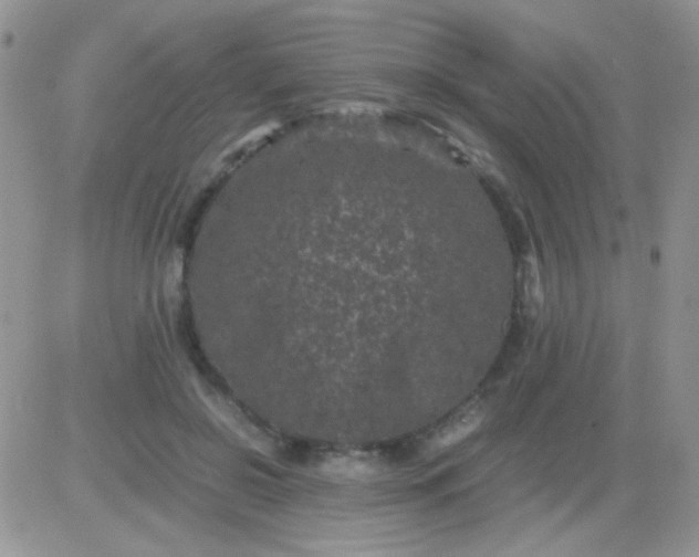 X0000081390550200701252107