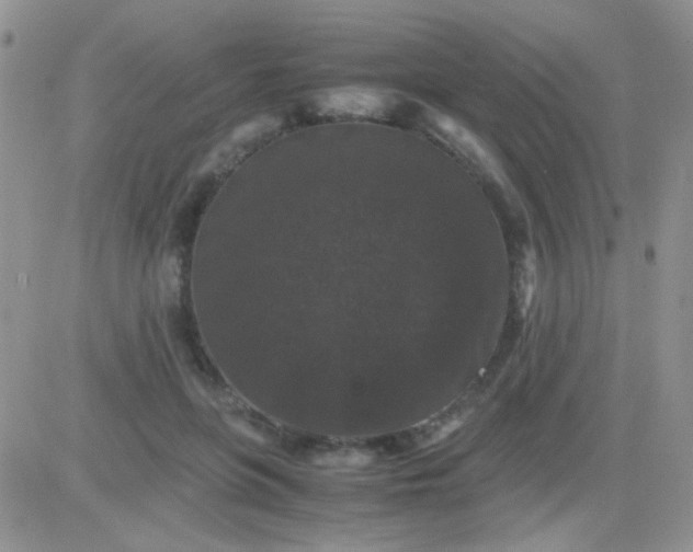 X0000081390551200701252107