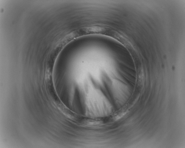 X0000081390555200701252107