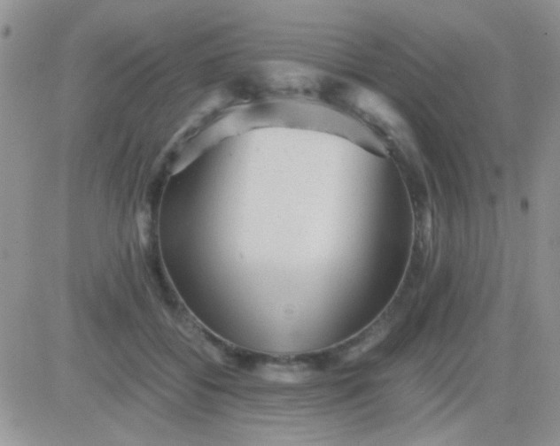 X0000081390556200701252107