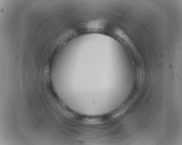 X0000081390557200701252107