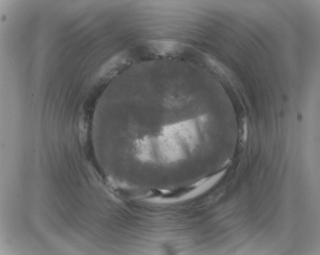 X0000081390558200701252107