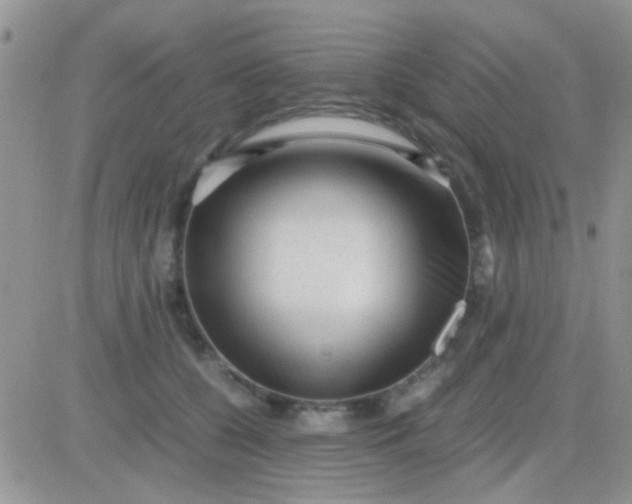 X0000081390560200701252107