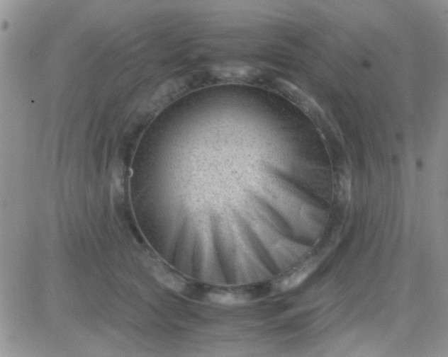 X0000081390561200701252107