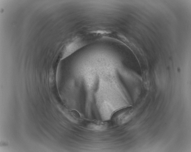 X0000081390563200701252107