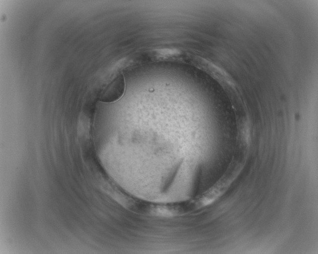 X0000081390565200701252107