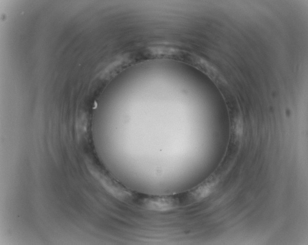 X0000081390567200701252107