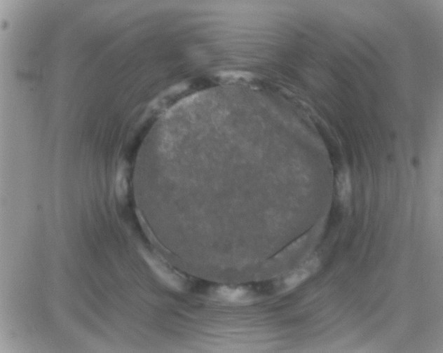 X0000081390570200701252107