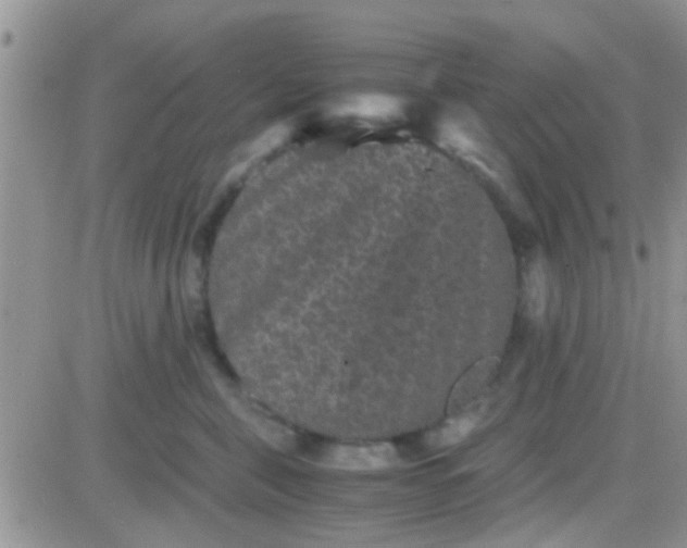 X0000081390571200701252107