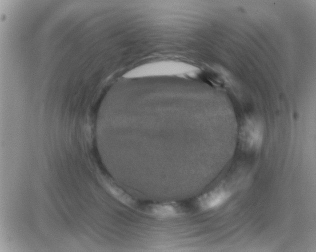 X0000081390572200701252107