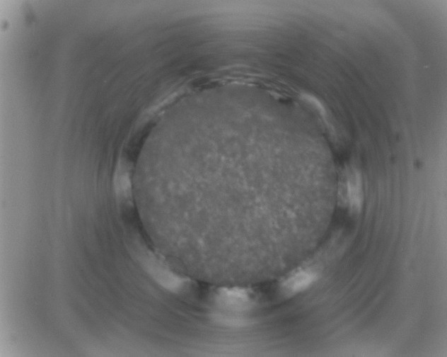 X0000081390573200701252107