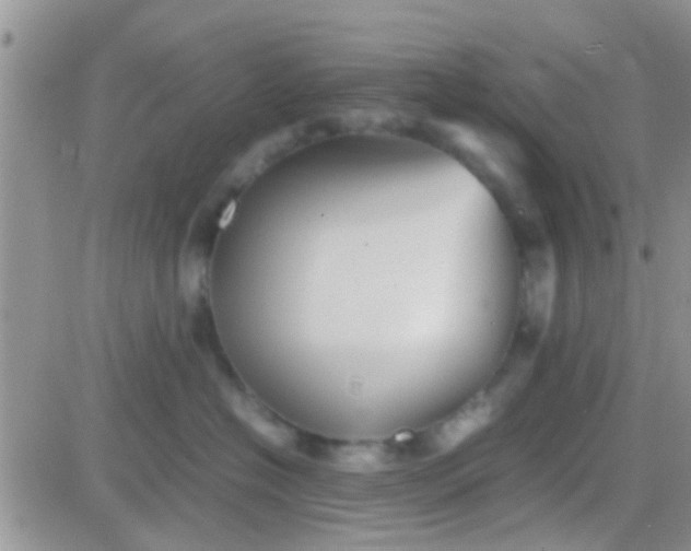 X0000081390574200701252107