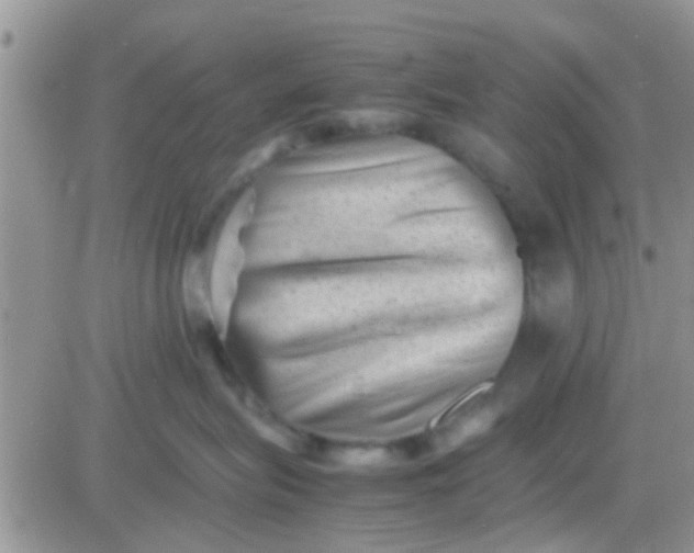 X0000081390575200701252107