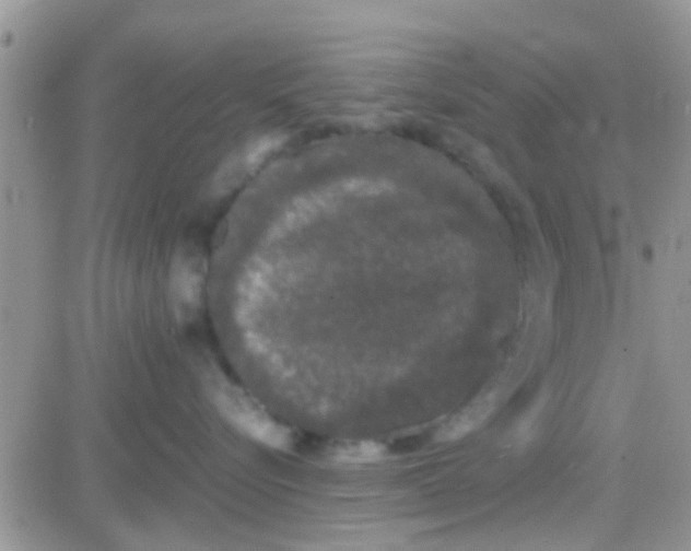 X0000081390576200701252107