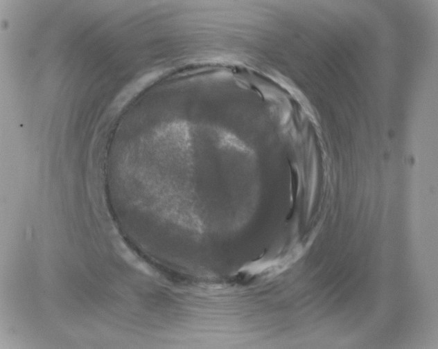 X0000081390577200701252106