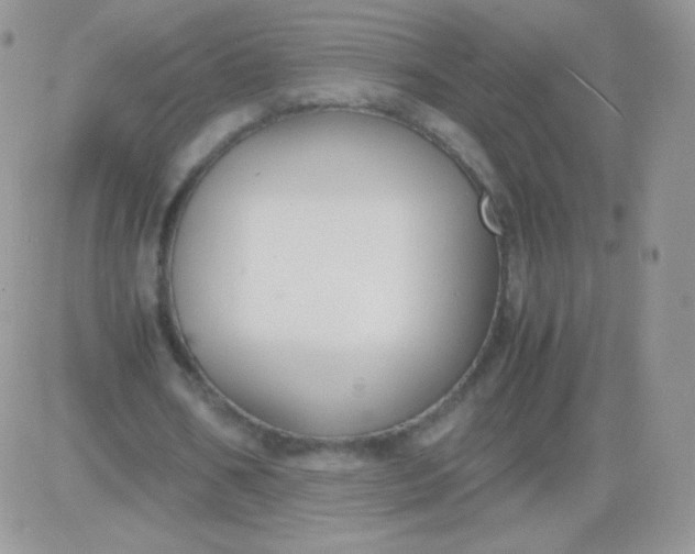 X0000081390578200701252106