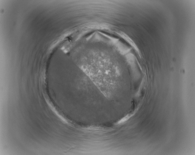 X0000081390581200701252106