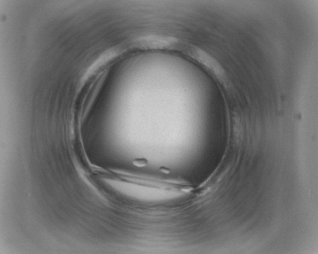 X0000081390582200701252106