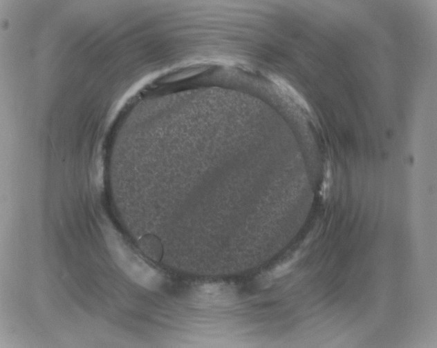 X0000081390584200701252106