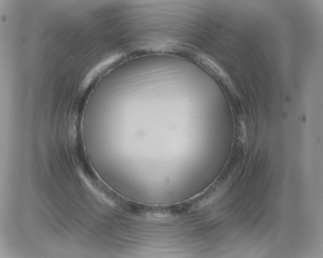 X0000081390586200701252106