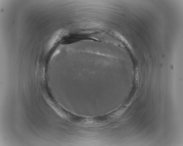 X0000081390589200701252106