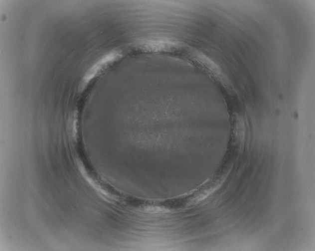 X0000081390590200701252106