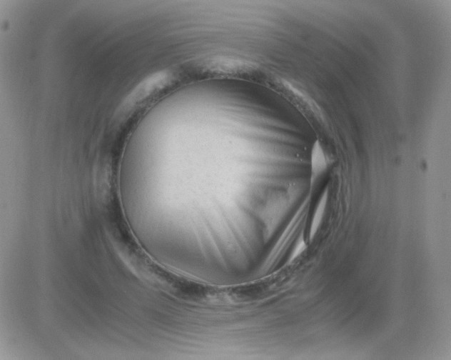 X0000081390591200701252106