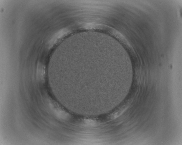 X0000081390592200701252106