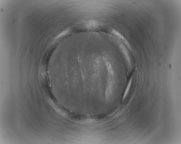 X0000081390593200701252106