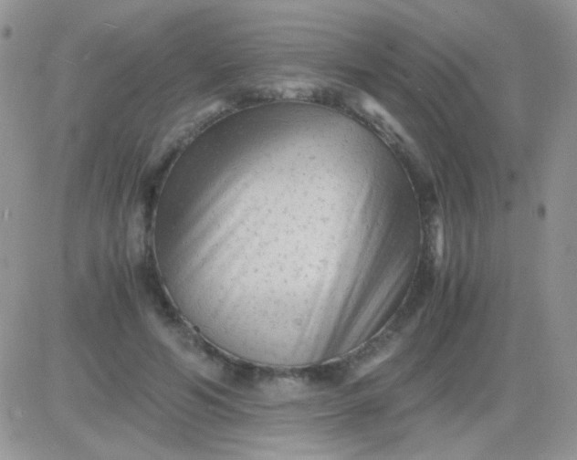 X0000081390594200701252106