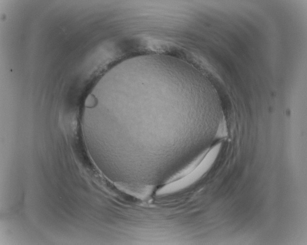 X0000081390595200701252106