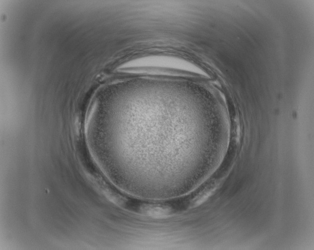 X0000081390597200701252106